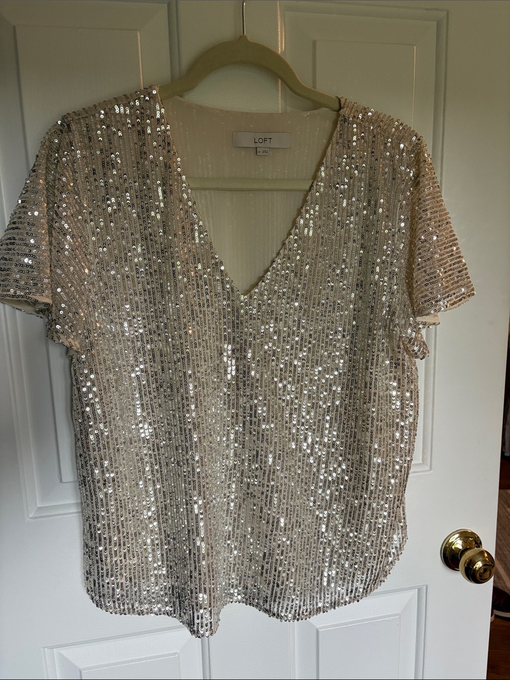 LOFT Champagne Sequin V-Neck Short Sleeve Top